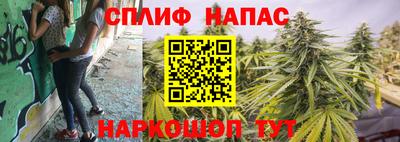 тгк Гусев
