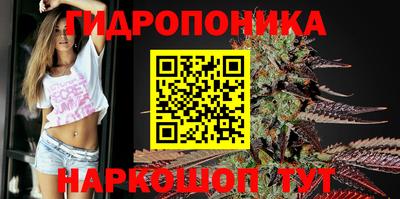 тгк Гусев