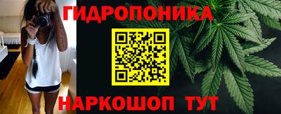 гидра Гусиноозёрск