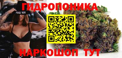 бошки Гусь-Хрустальный