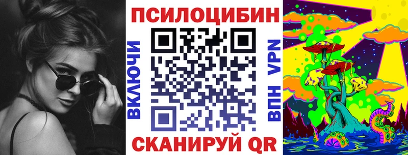 Псилоцибиновые грибы Psilocybine cubensis  Междуреченск 