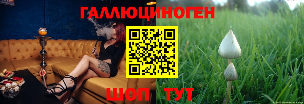 Междуреченск  Галлюциногенные грибы Psilocybe  Вход с VPN  Псилоцибиновые грибы ЛСД 